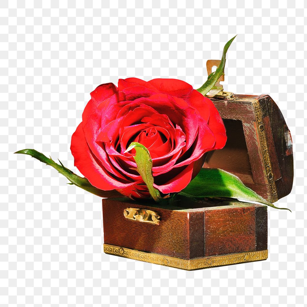 Rose box png, isolated object, transparent background
