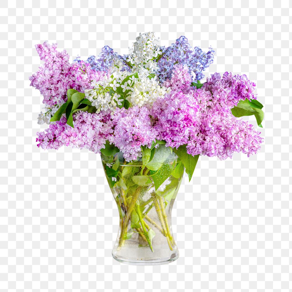 Png pastel vase lilacs collage element, transparent background