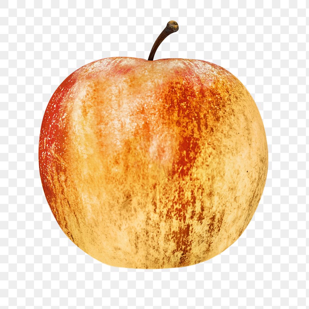 Fresh apple png, transparent background