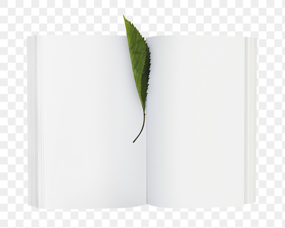 Png open book leaf, isolated object, transparent background