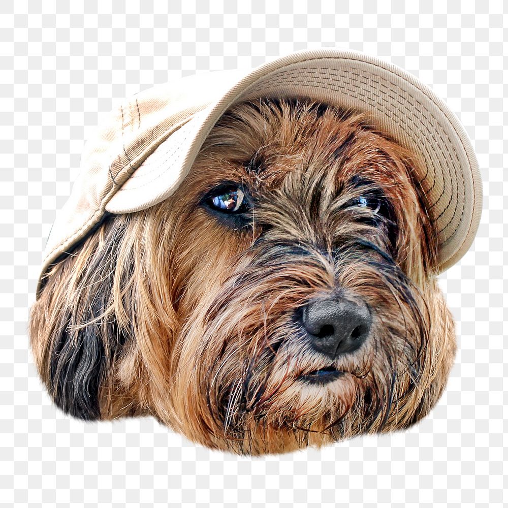 Terrier dog png, design element, transparent background
