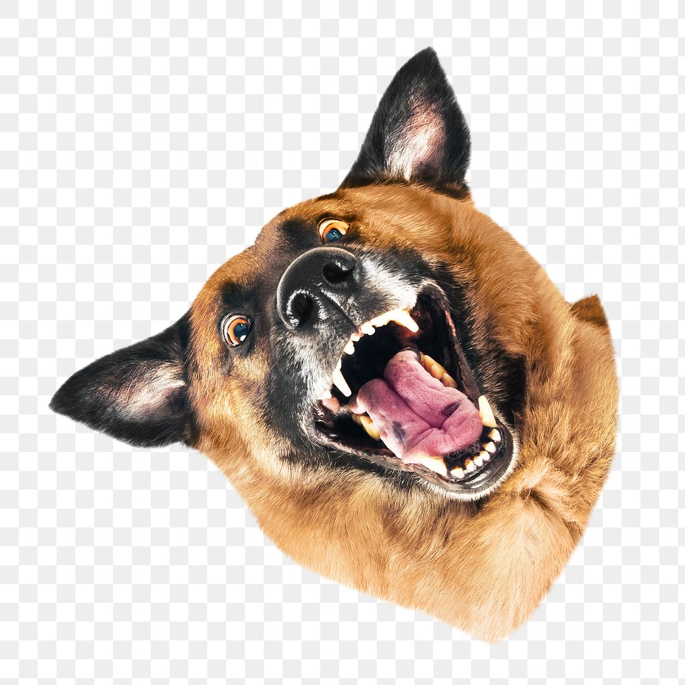 Smiling dog png, design element, transparent background