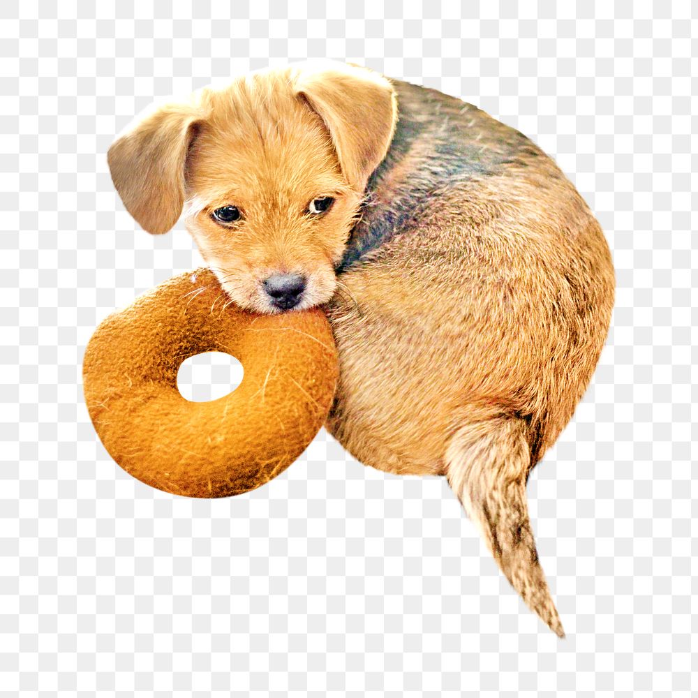 Sad puppy png, design element, transparent background