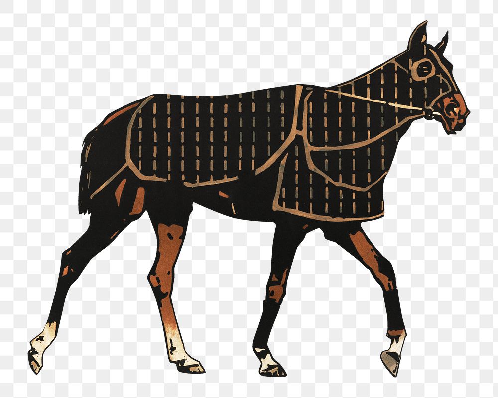 PNG Horse animal illustration transparent background. Remixed by rawpixel.