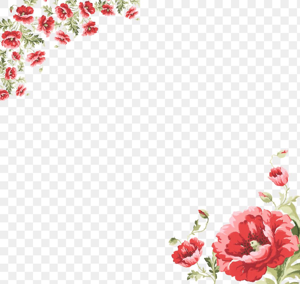 PNG Red poppy illustration border transparent background. Remixed by rawpixel.