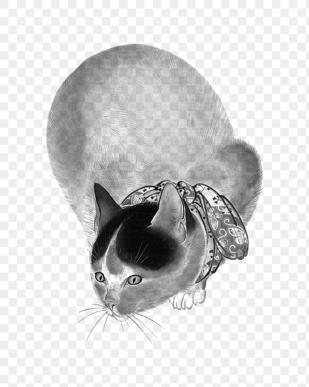 PNG Cat, vintage animal illustration by Oide Tōkō, transparent background.  Remixed by rawpixel. 