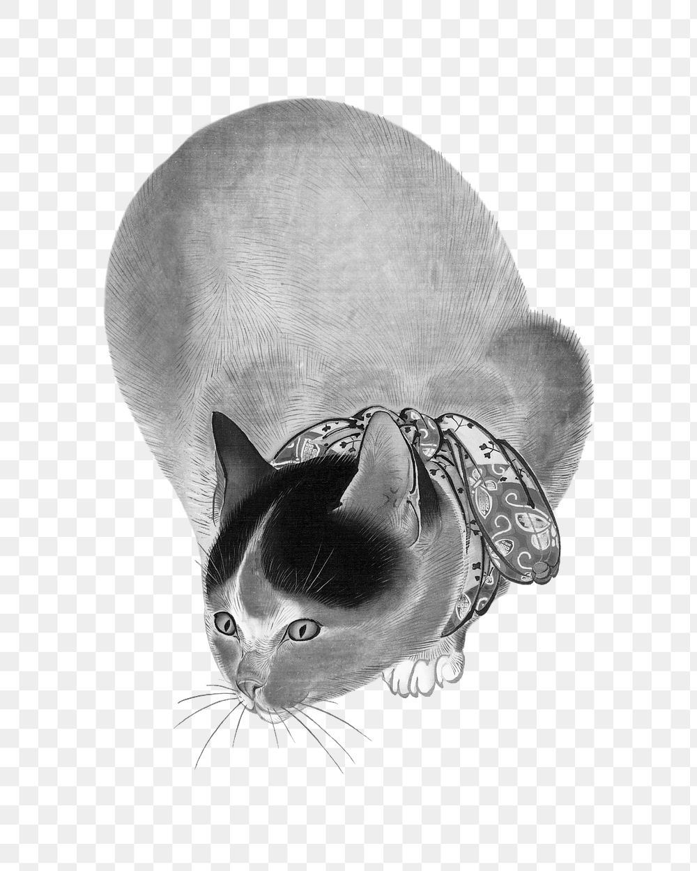 PNG Cat, vintage animal illustration by Oide Tōkō, transparent background.  Remixed by rawpixel. 