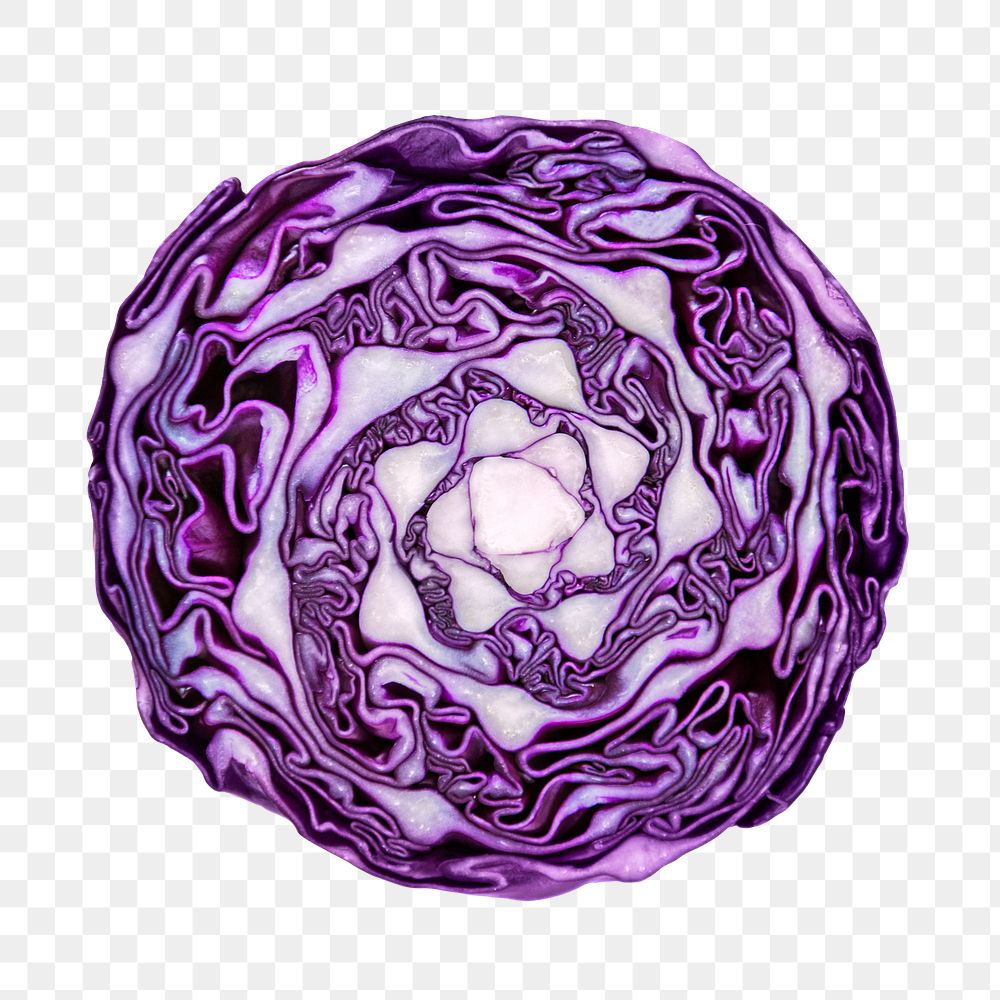 Purple cabbage png, cut in half, transparent background
