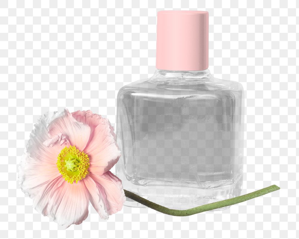 PNG Perfume bottle beauty product  transparent background