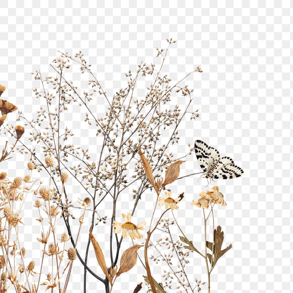 PNG Autumn flower collage element, transparent background