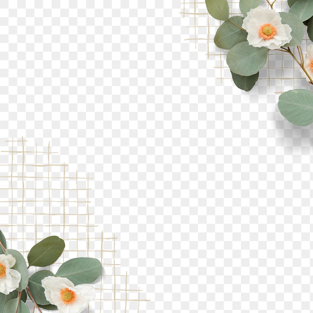 PNG white flower border, transparent background