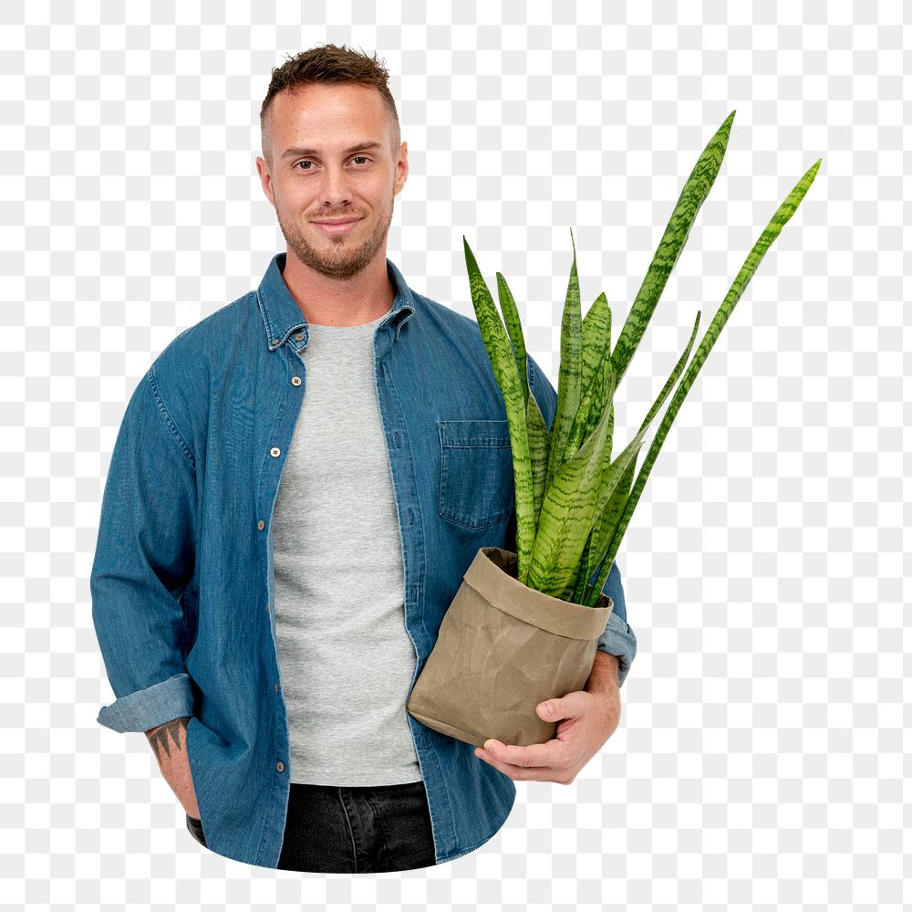 Png man holding snake plant, transparent background