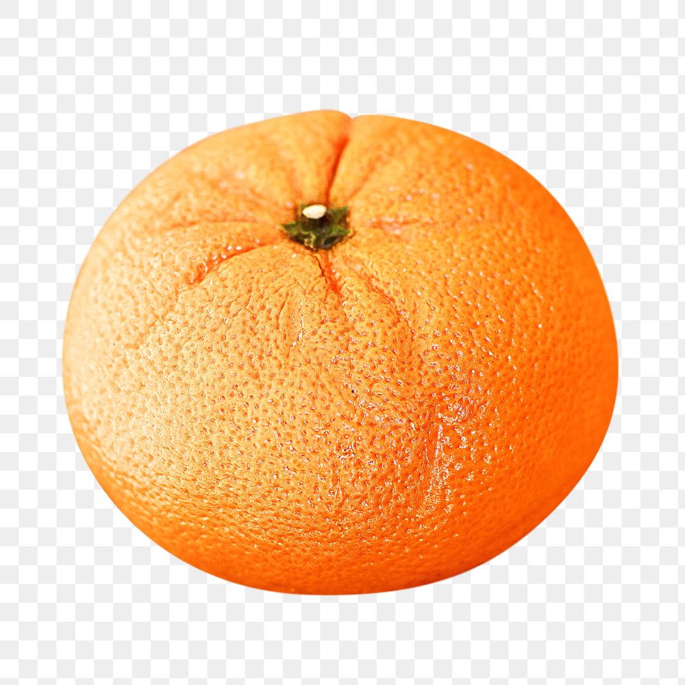 Png orange, transparent background