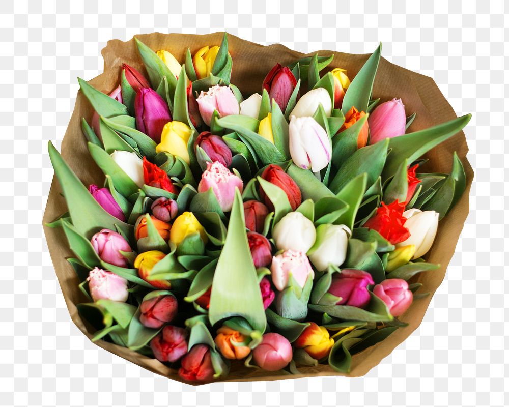 Colorful tulips bouquets png, transparent background