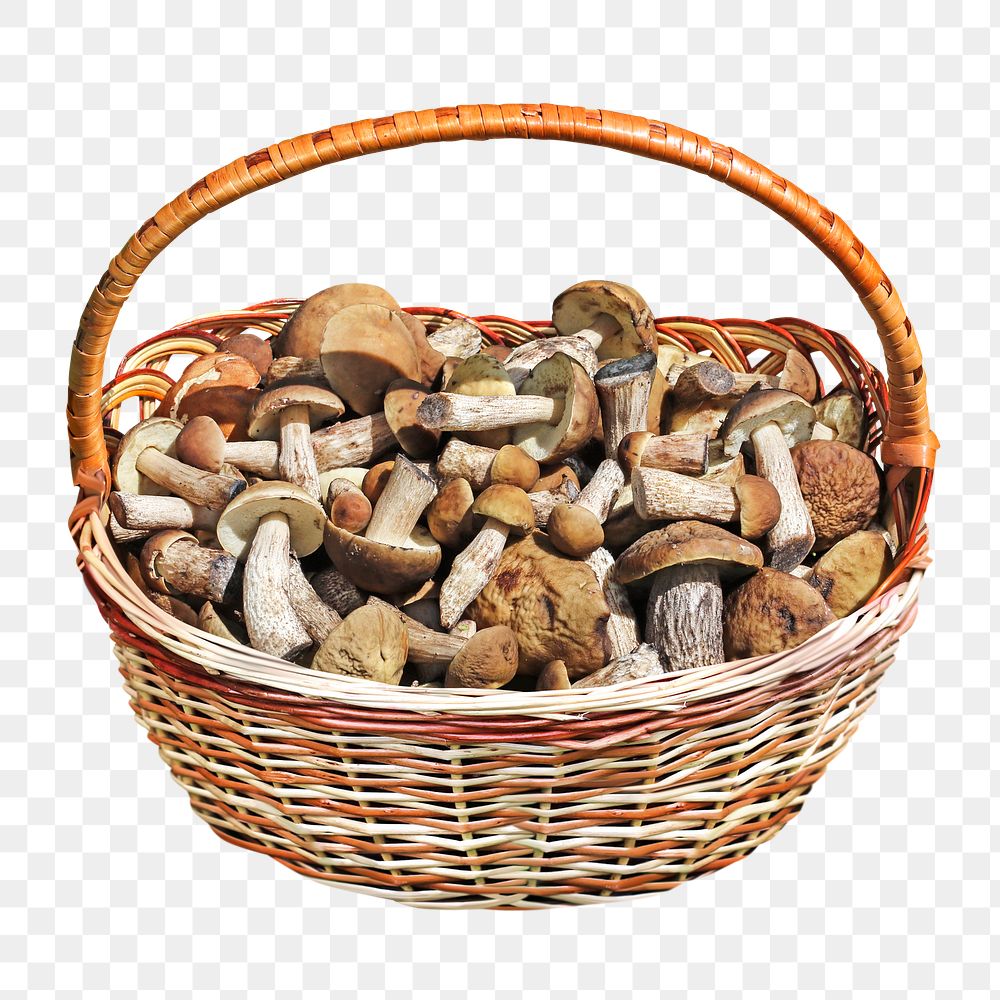 Basket of mushrooms png, transparent background