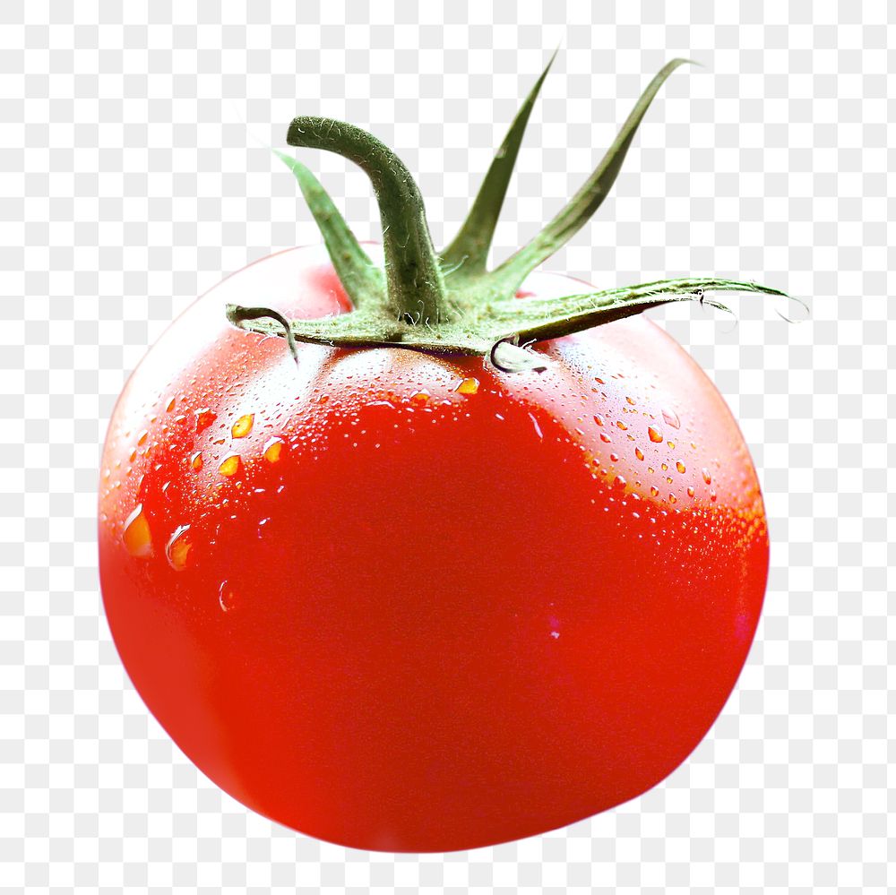 Fresh Tomato png, transparent background