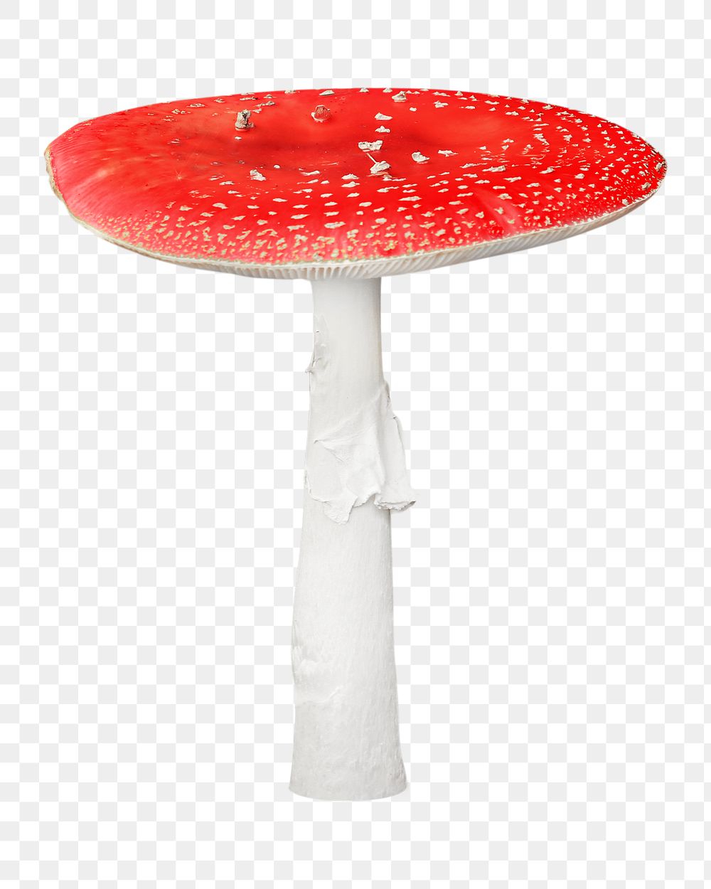 Fly agaric mushroom png, transparent background