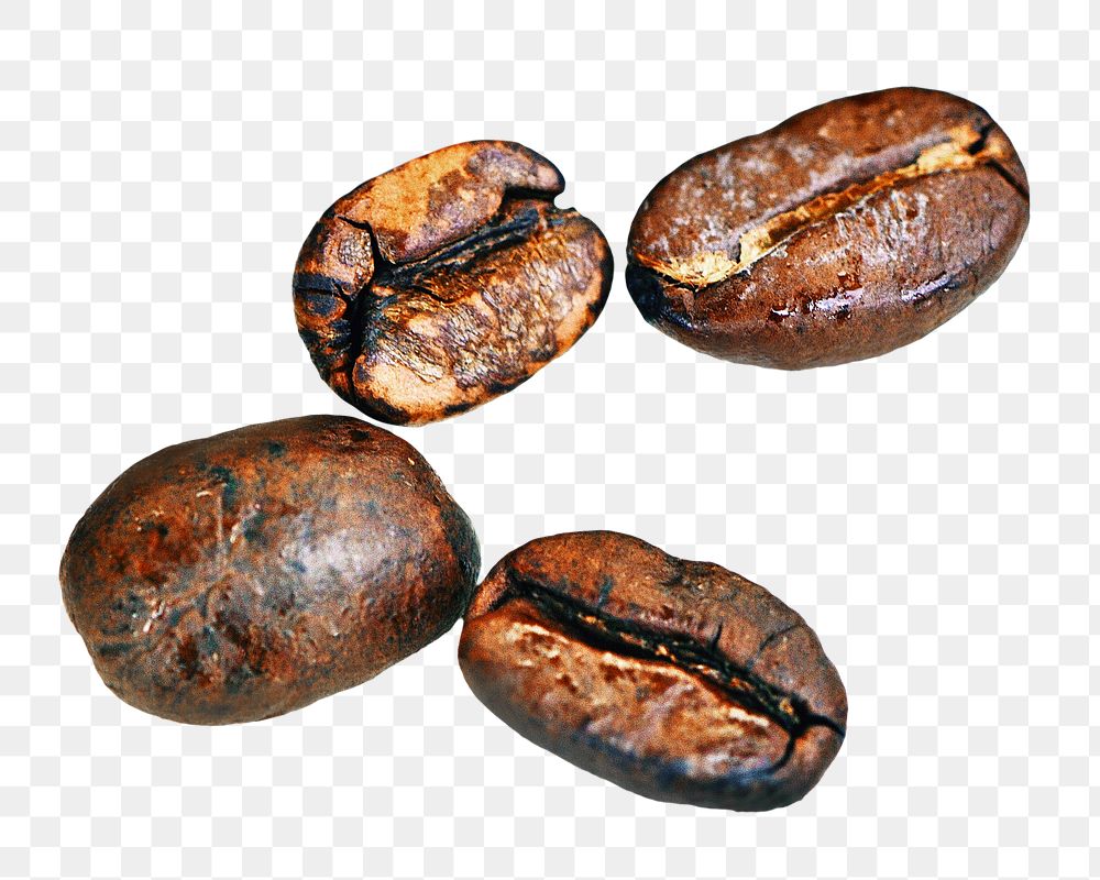 PNG coffee beans, collage element, transparent background