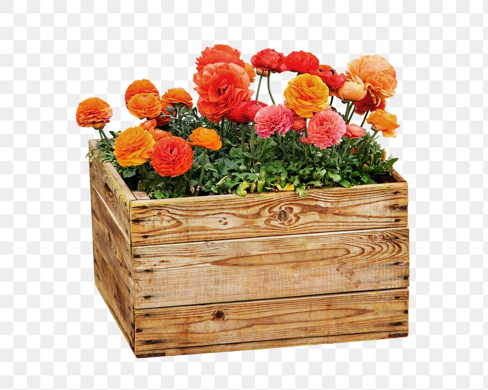 Colorful flowers crate png, transparent background