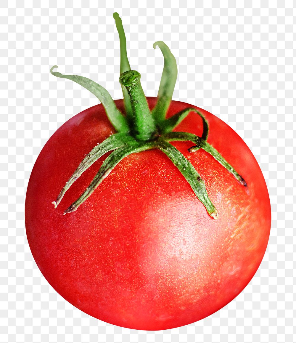 Png red tomato element, transparent background