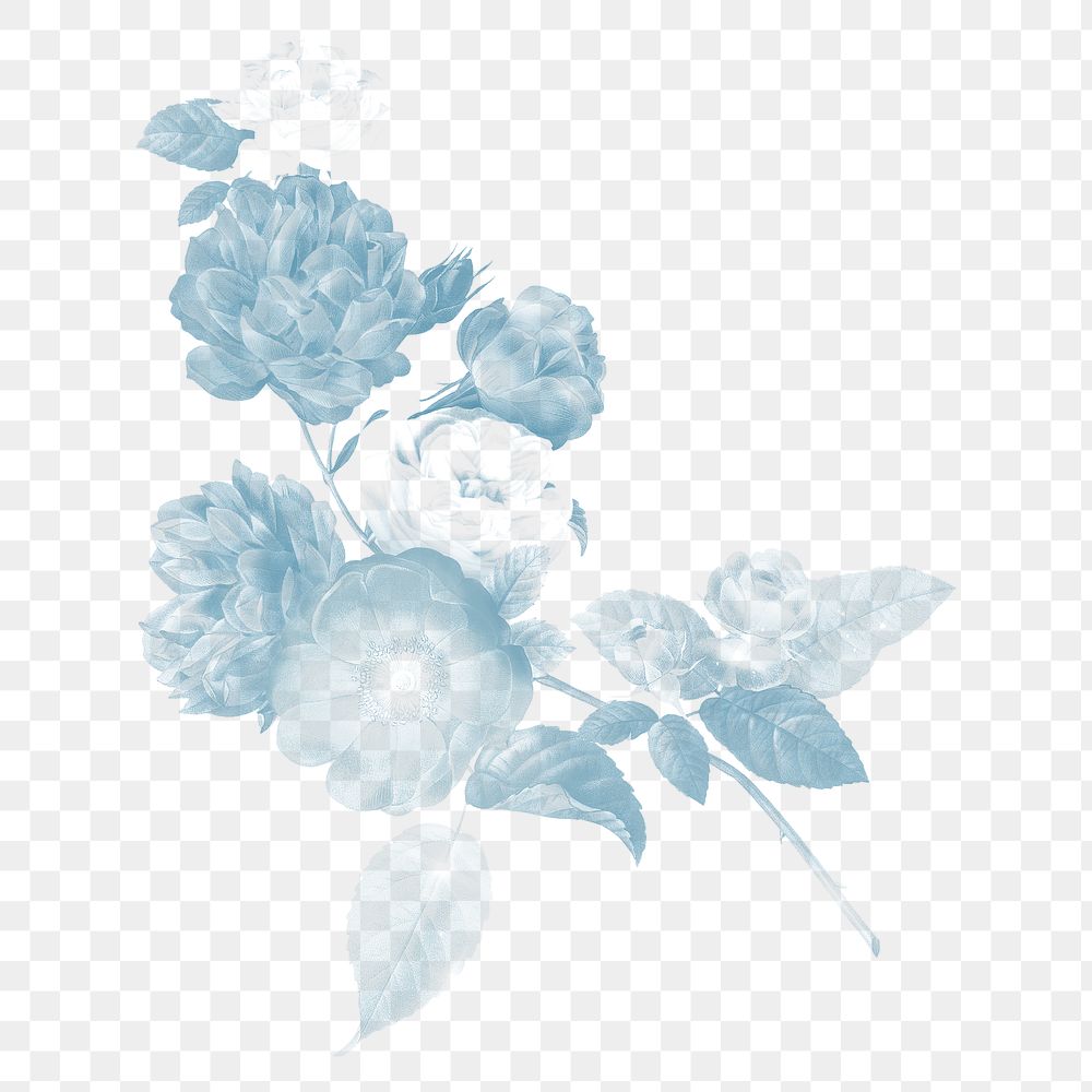 Png transparent flower illustration, vintage element on transparent background