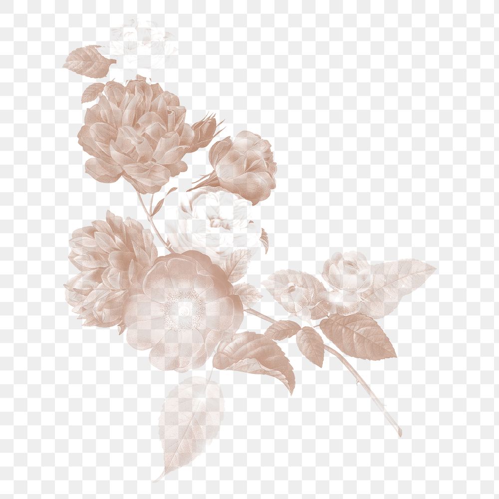 Png vintage flower illustration on transparent background