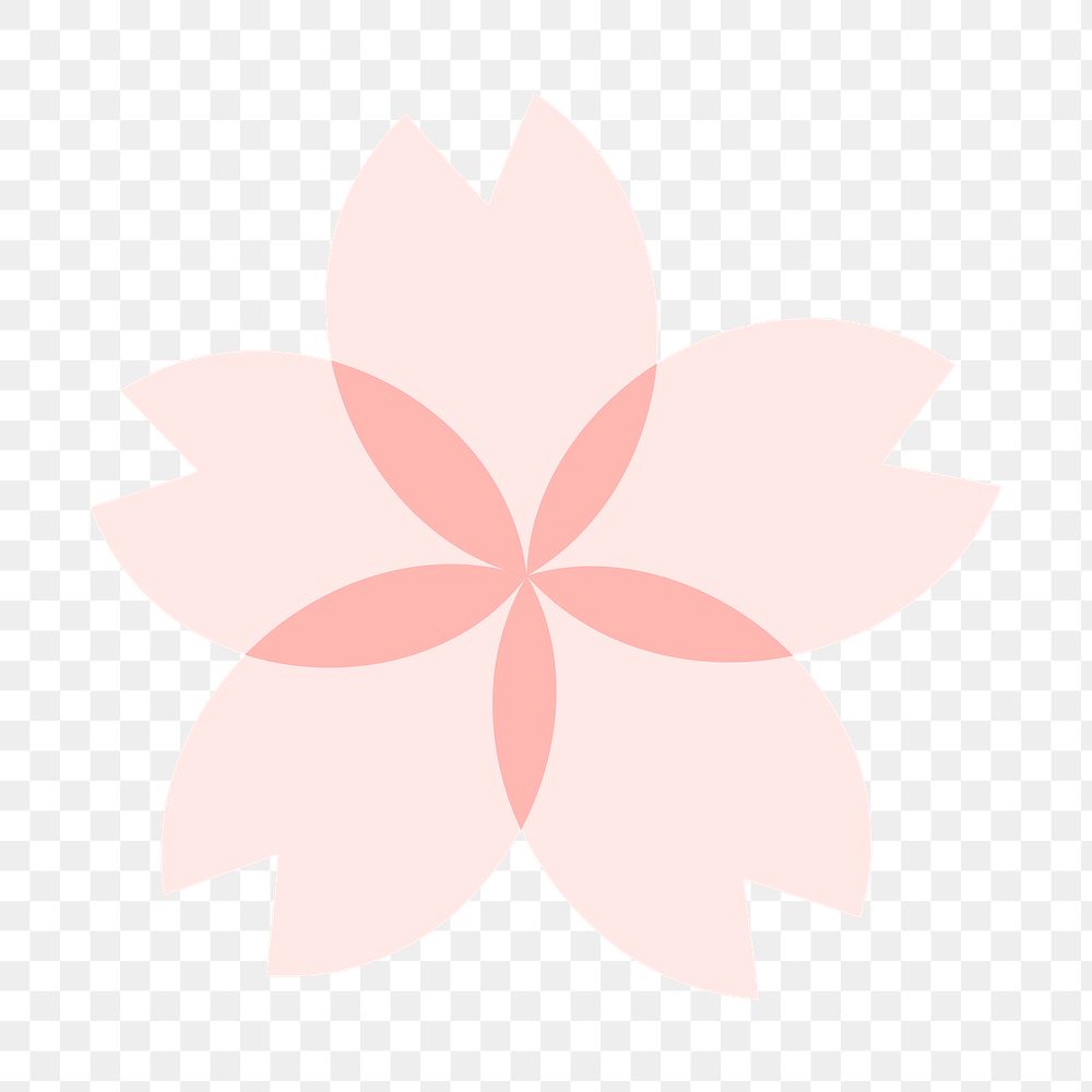 Pink flower png on transparent background