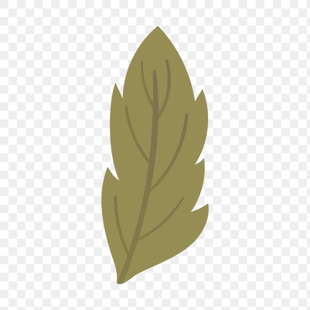 Green leaf png illustration, transparent background