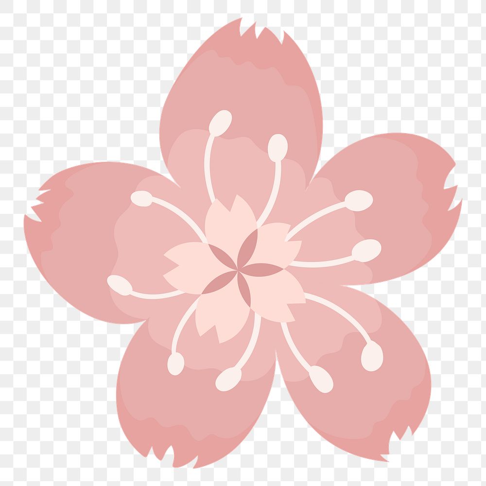 Pink flower png illustration, transparent background