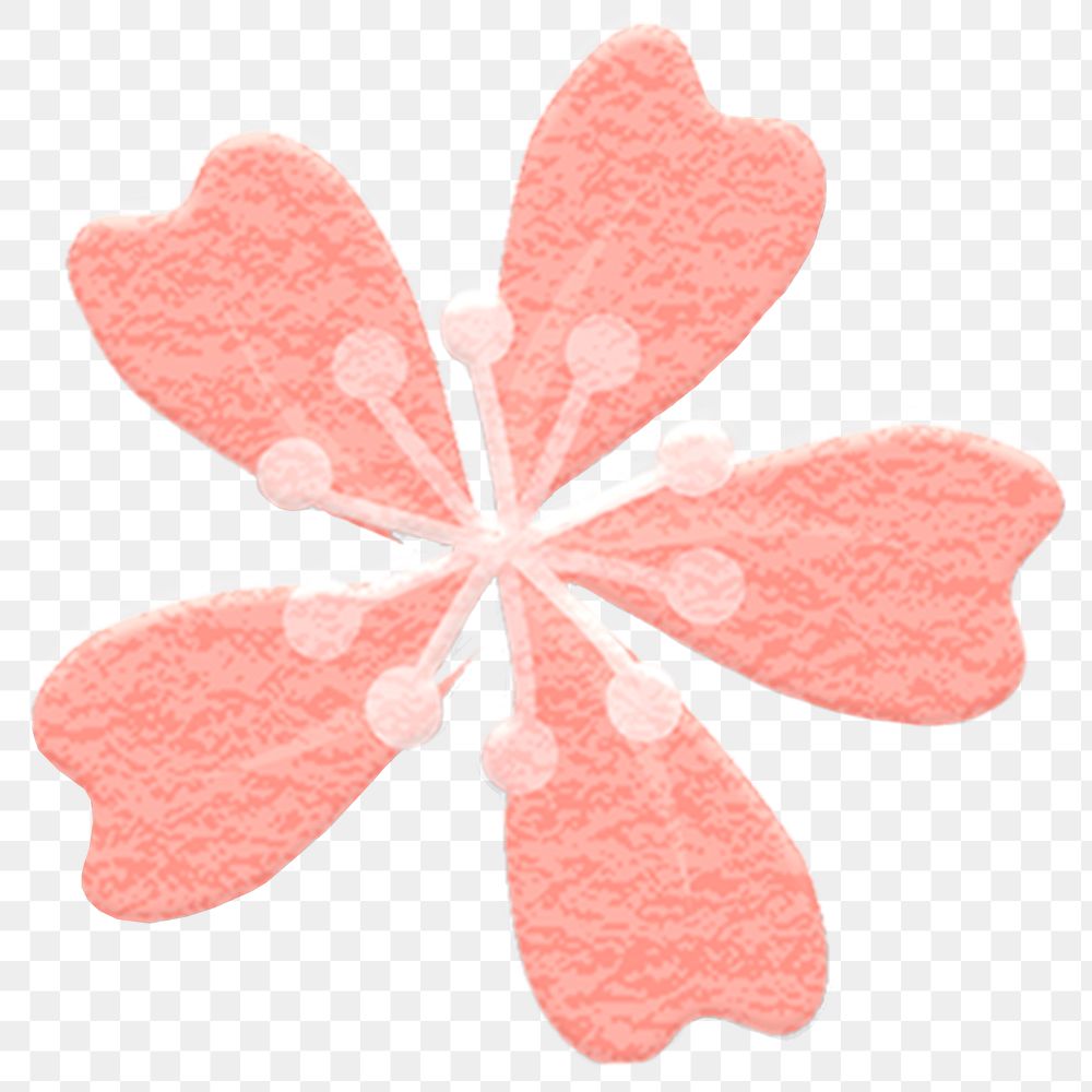Pink png flower on transparent background, sakura illustration