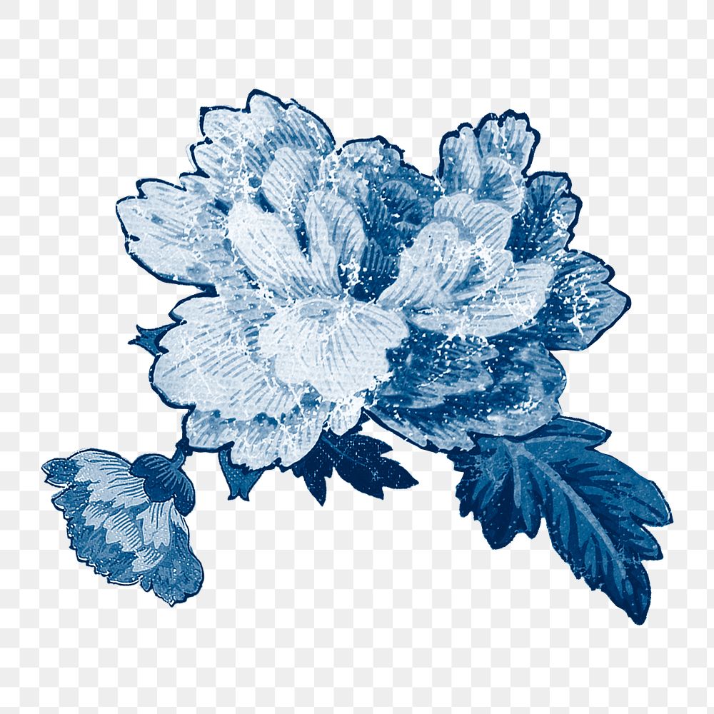 Blue vintage png peony painting, transparent background