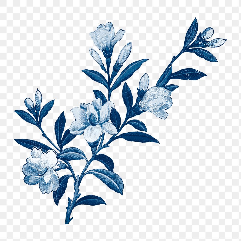 Vintage peony png blue aesthetic, transparent background