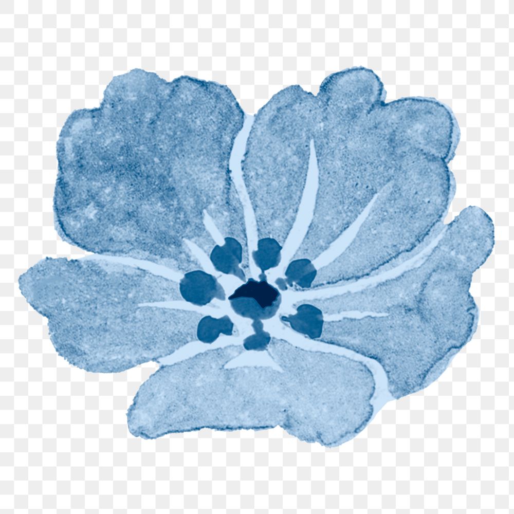 Blue peony png flower watercolor, transparent background