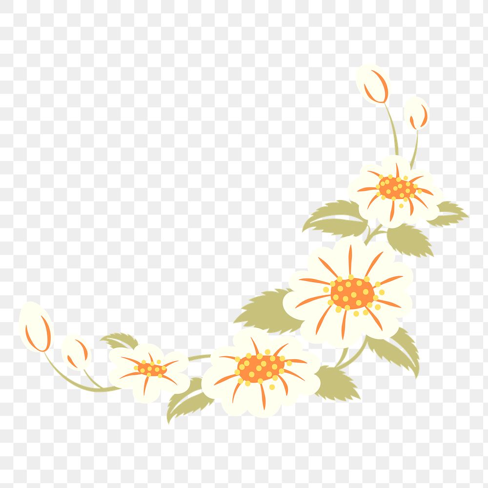 Flower border png transparent background