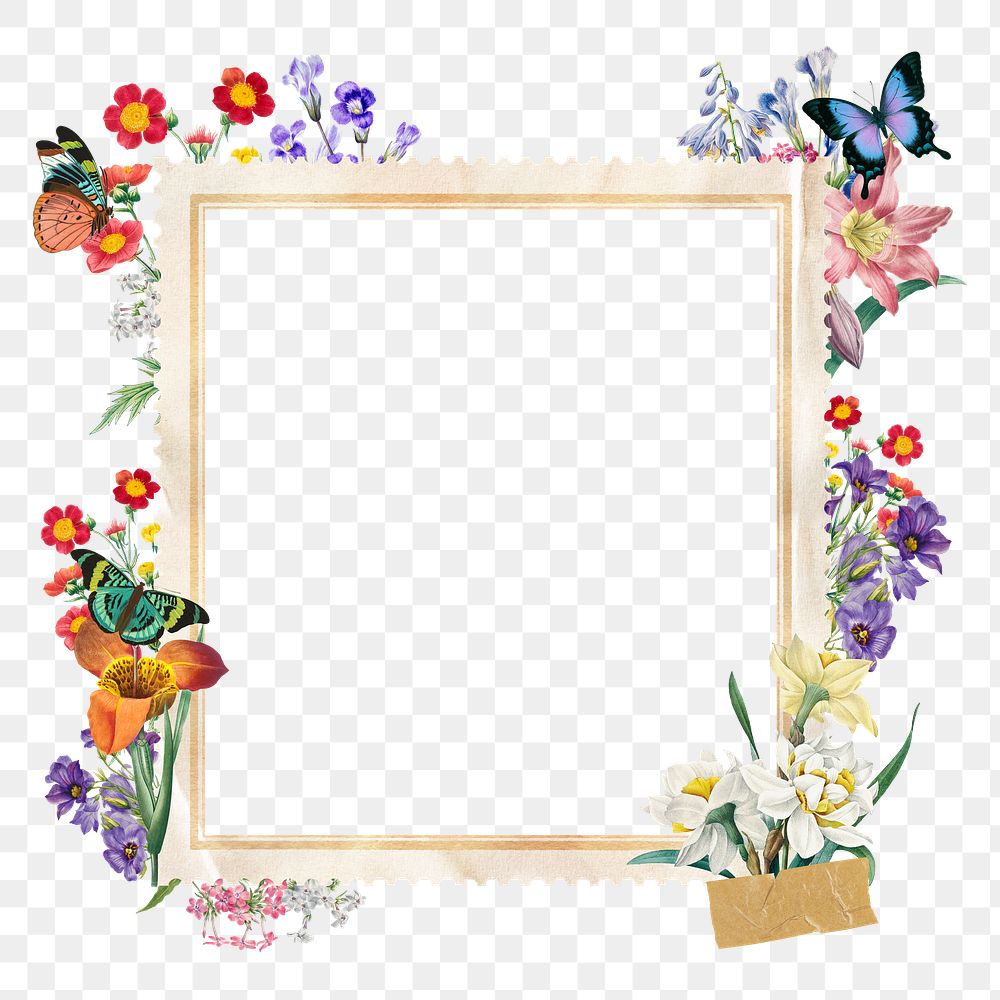 Spring flowers png frame, colorful botanical, transparent background