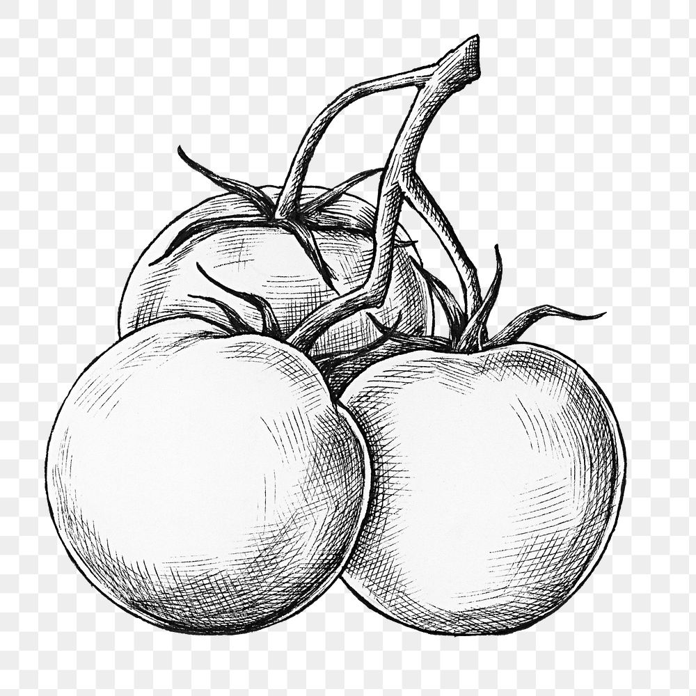 Png tomatoes black and white illustration, transparent background