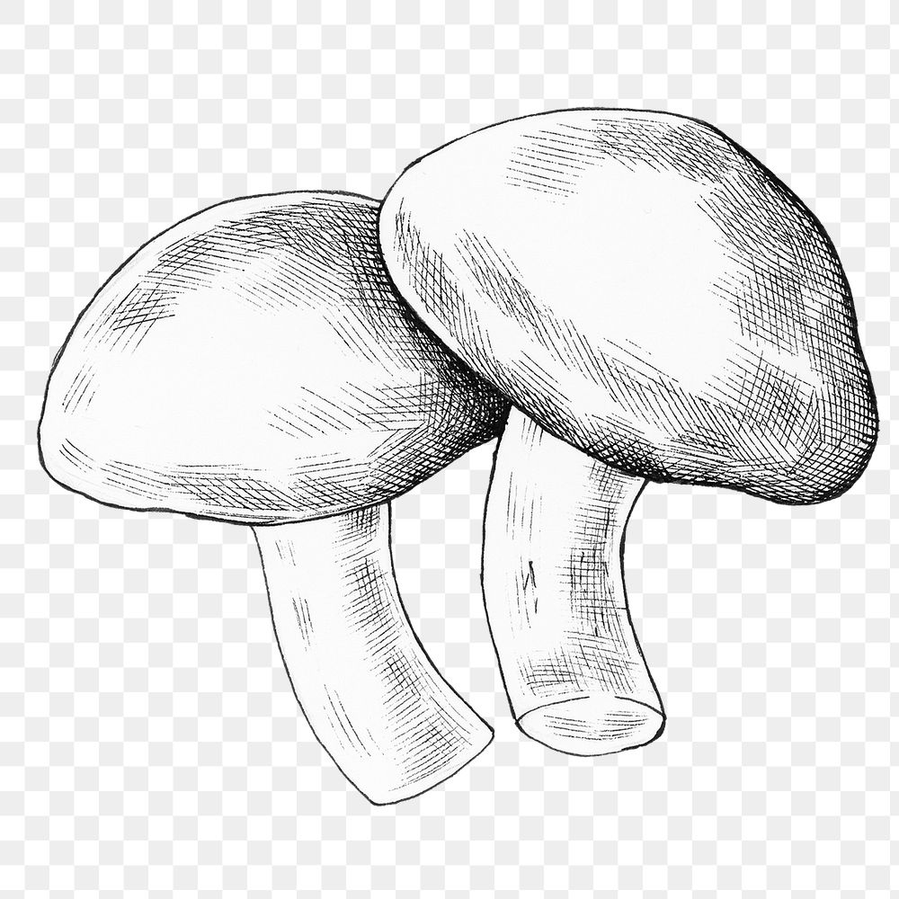 Png mushroom black and white illustration, transparent background