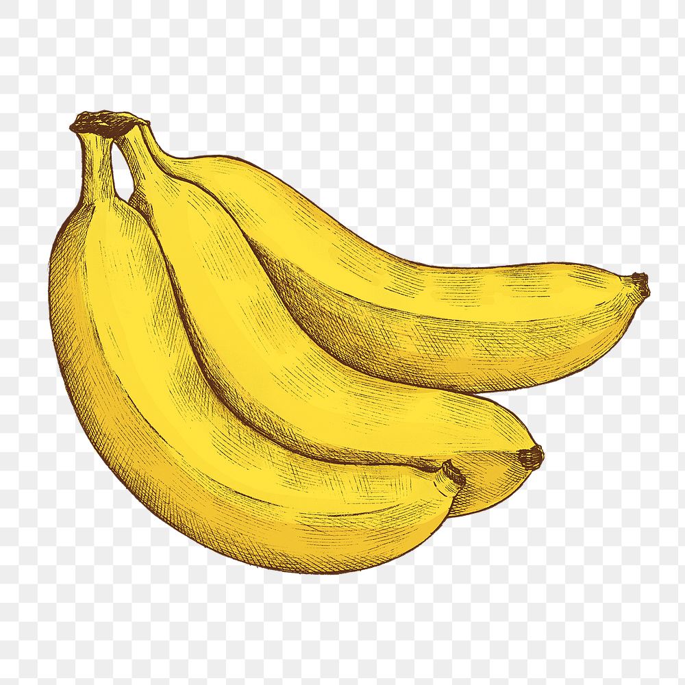 Png banana illustration collage element, transparent background