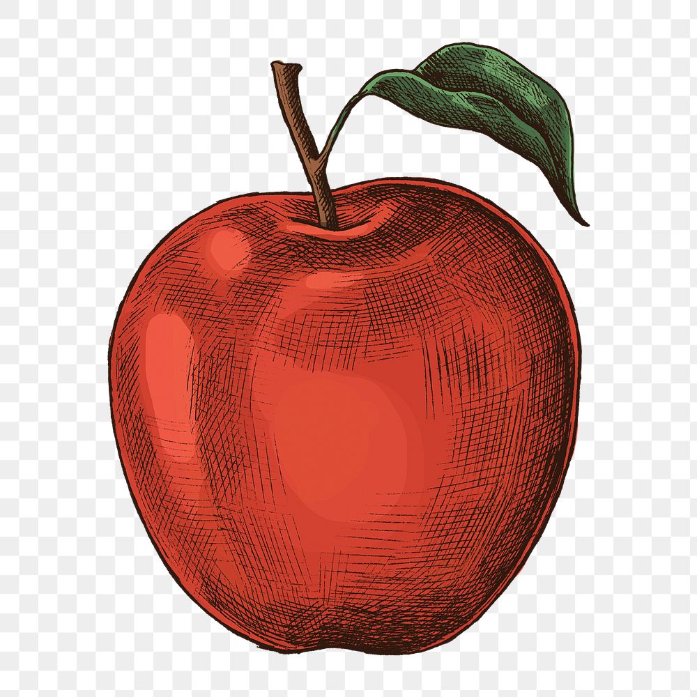 Png red apple illustration collage element, transparent background