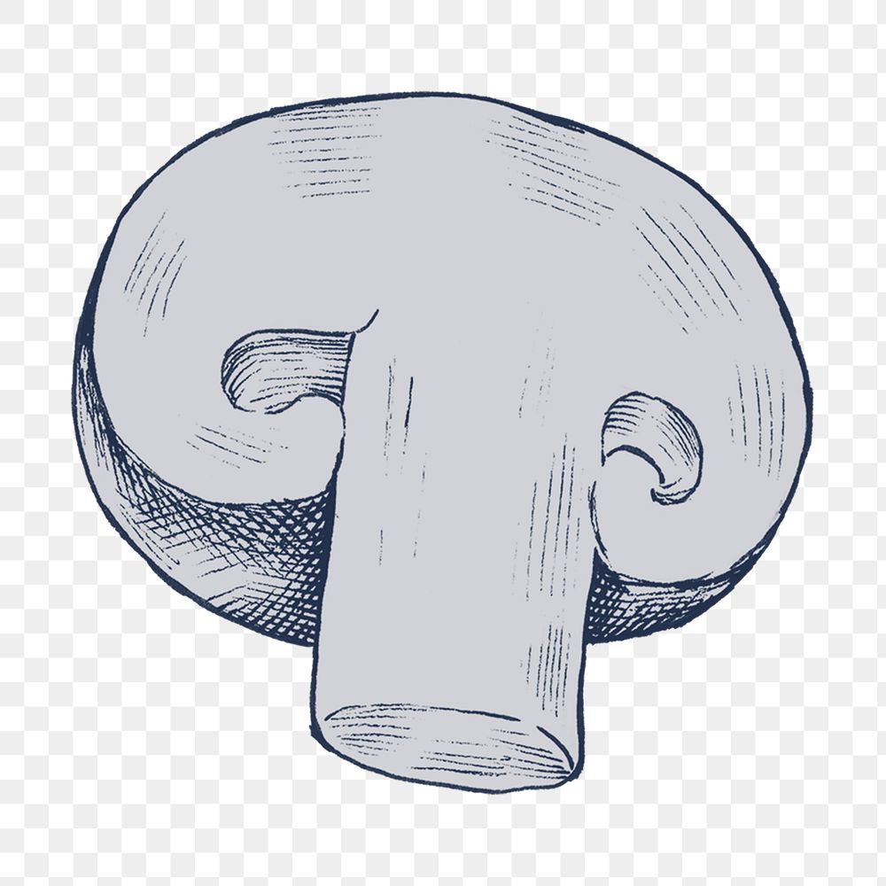 Png mushroom illustration, transparent background