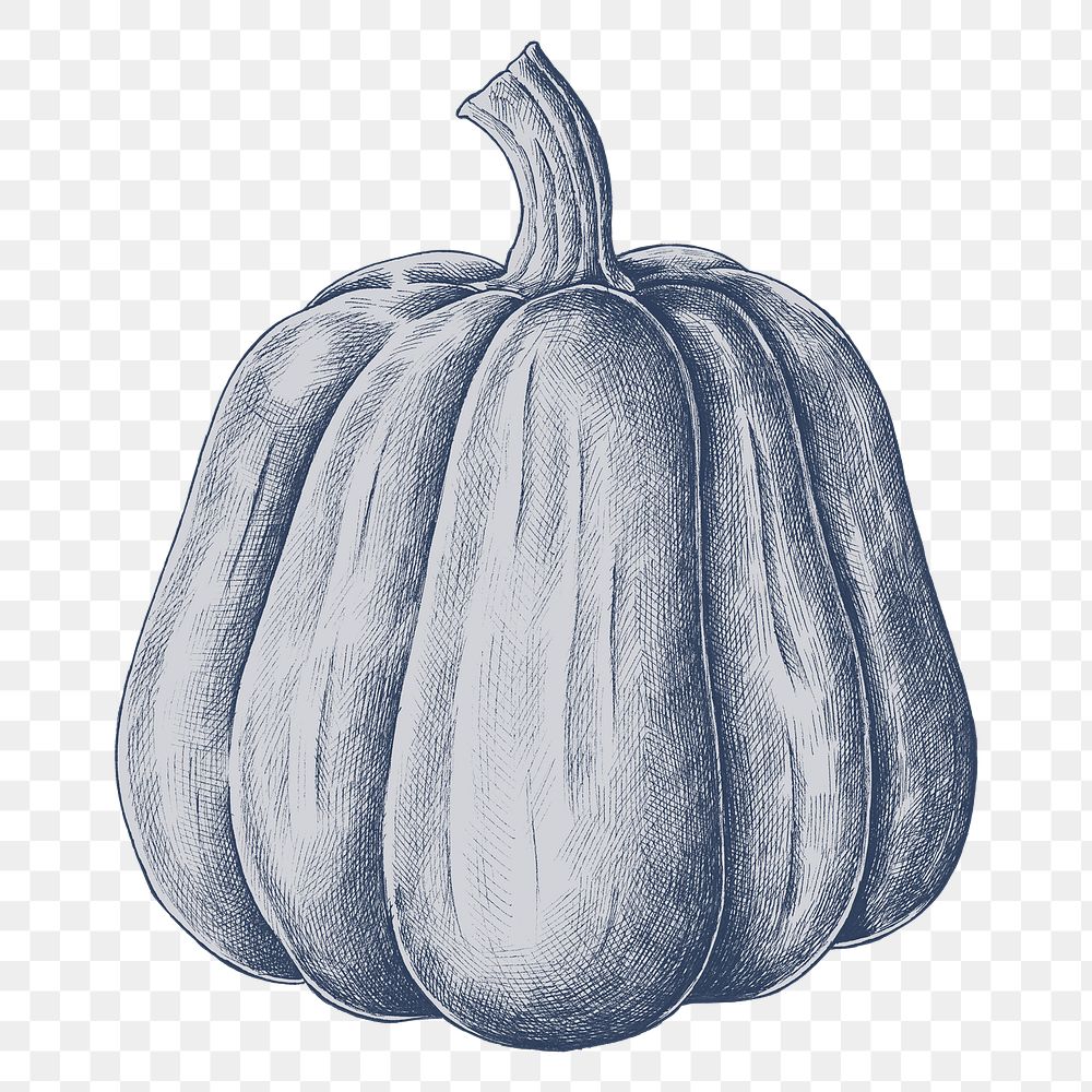 Png pumpkin illustration, transparent background