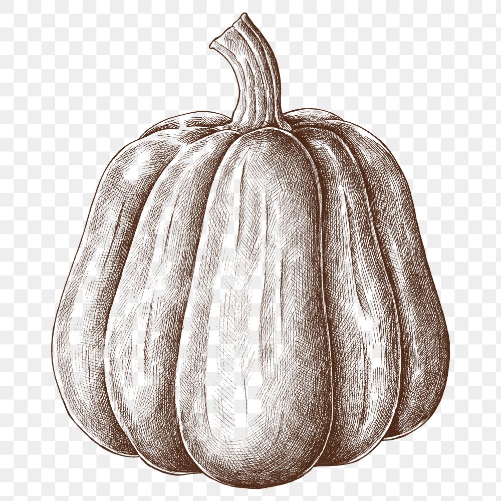 Png pumpkin illustration collage element, transparent background