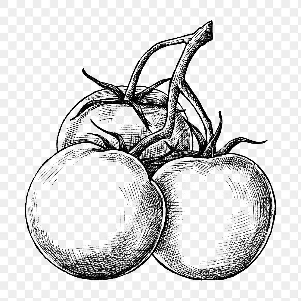 Png tomatoes black and white illustration, transparent background