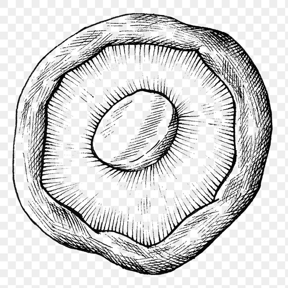 Png mushroom black and white illustration, transparent background