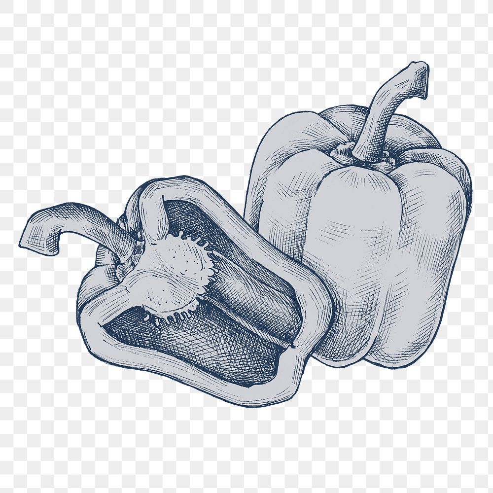 Png bell pepper illustration, transparent background