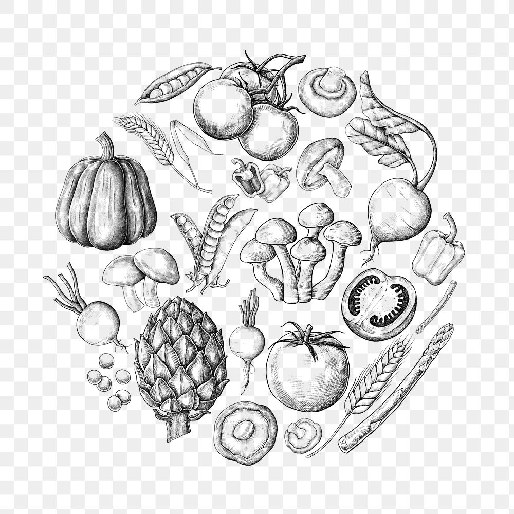 Png vegetable black and white illustration, transparent background
