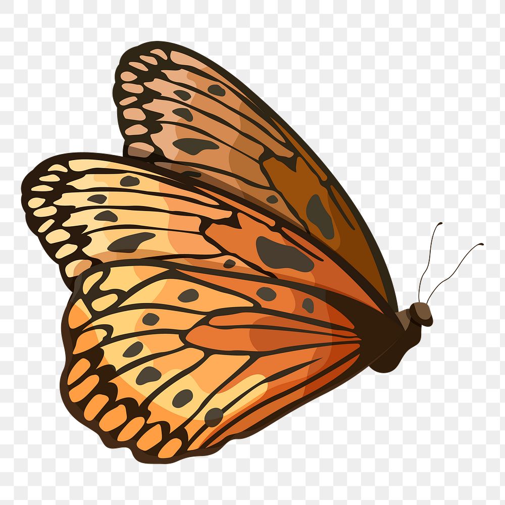 PNG orange butterfly illustration, transparent background