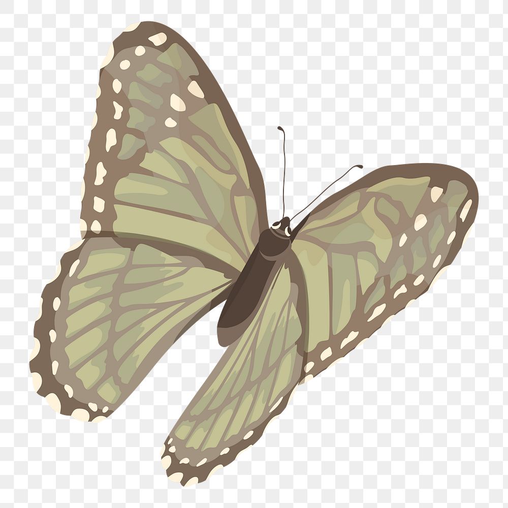 PNG beige butterfly illustration, transparent background