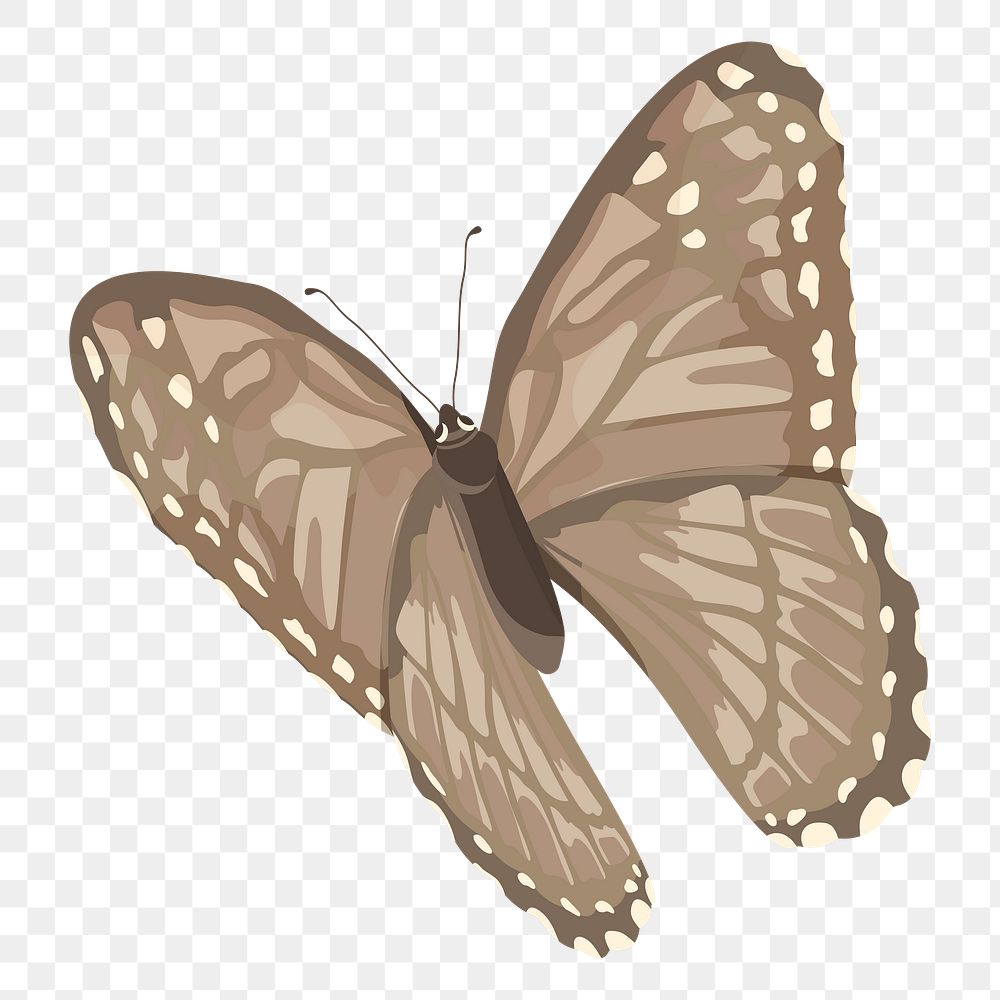PNG brown butterfly illustration, transparent background
