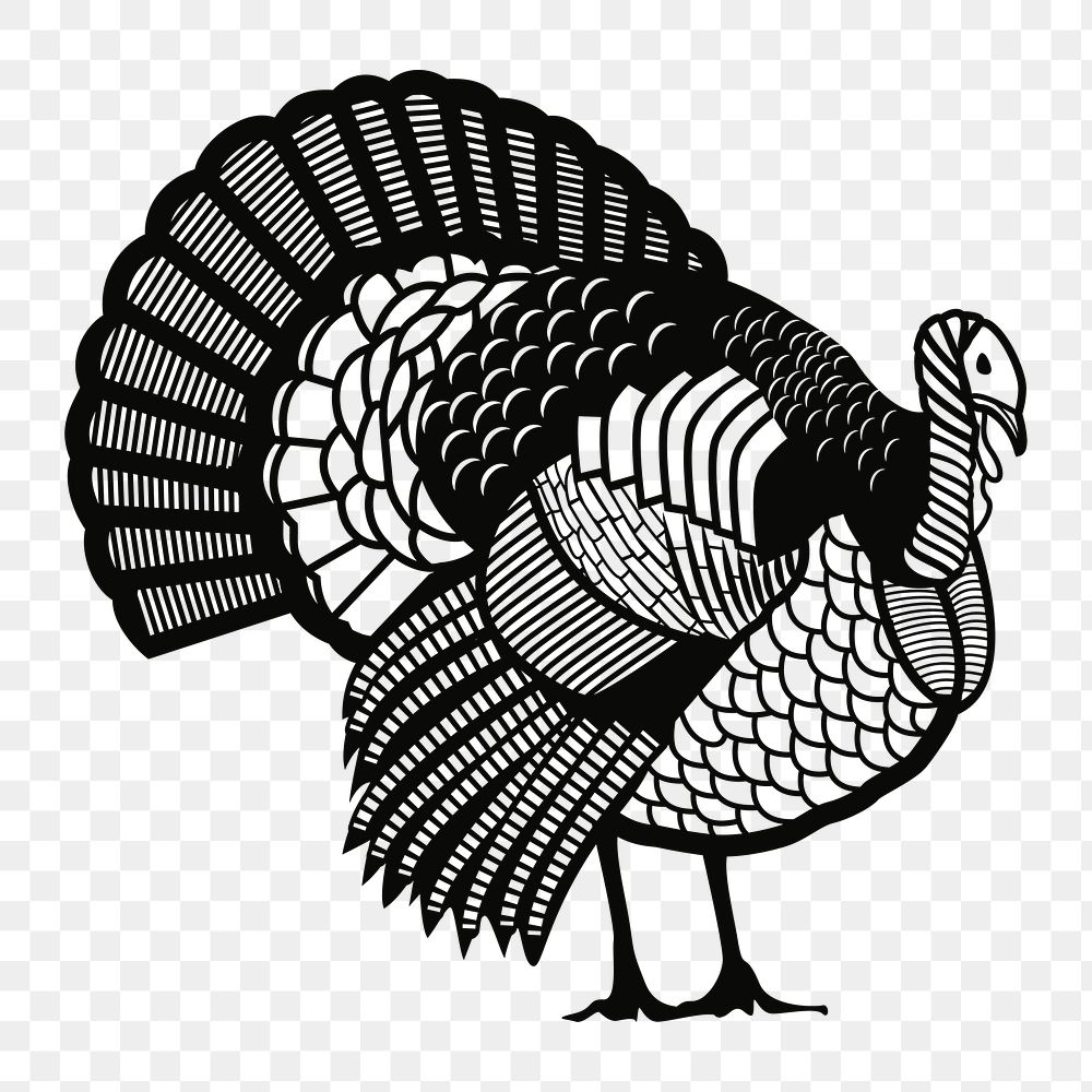 PNG Turkey thanksgiving, clipart, transparent background
